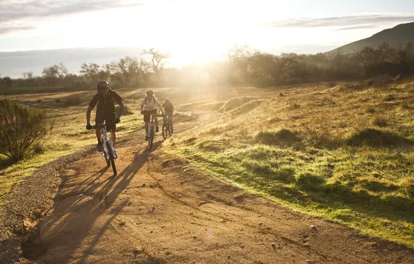 Картинка солнце, природа, утро, велосипедисты