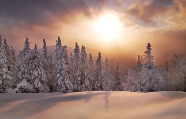 Картинка зима, лес, снег, закат, ели, сугробы, Россия, Южный Урал