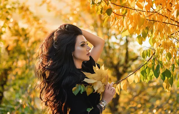 Картинка осень, листья, поза, волосы, Девушка, брюнетка, Георгий Дьяков