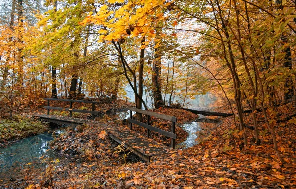 Картинка осень, природа, туман, пруд, желтые листья, мостик
