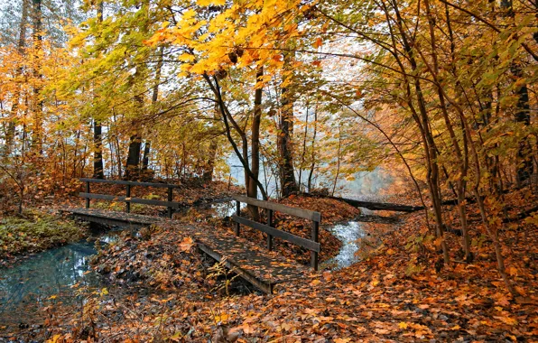 Осень, природа, туман, пруд, желтые листья, мостик