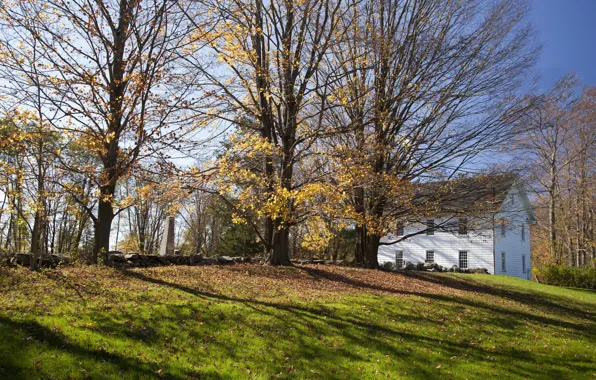 Картинка Поле, Осень, Деревья, Дом, House, Fall, Листва, Autumn