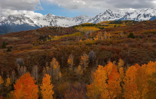 Autumn, fall, foliage