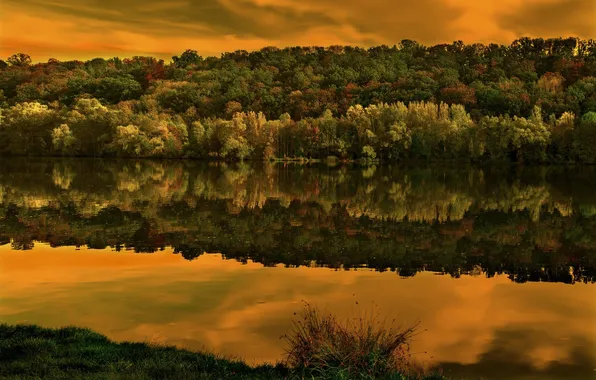 Картинка осень, лес, небо, облака, деревья, отражение, река, зарево