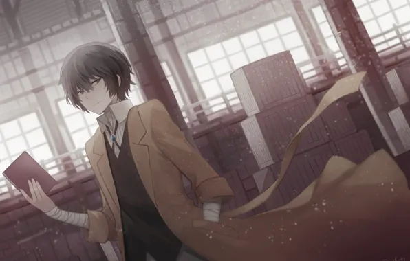 Аниме, арт, класс, парень, Bungou Stray Dogs