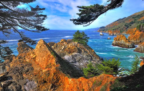 Море, небо, деревья, скалы, Калифорния, США