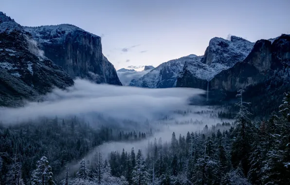 Картинка зима, лес, деревья, долина, Калифорния, California, Национальный парк Йосемити, Yosemite National Park