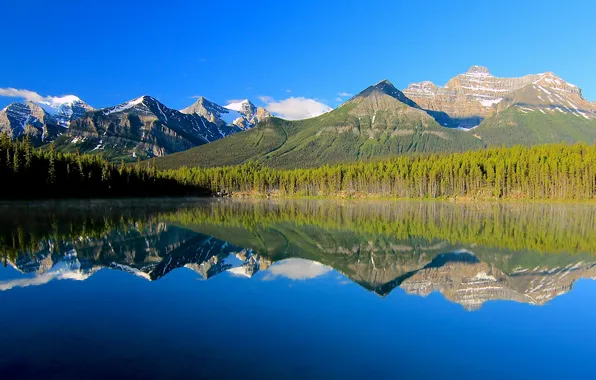 Картинка лес, небо, горы, озеро, отражение, Канада, Альберта, Banff National Park