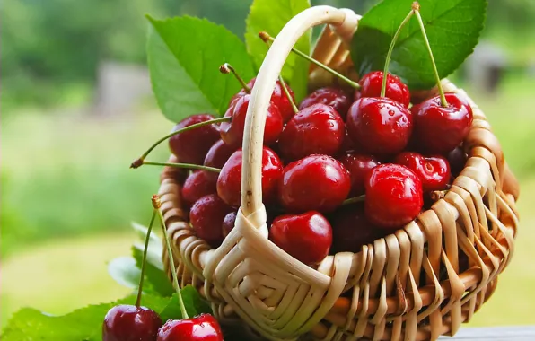 Картинка вишня, ягоды, корзинка, fresh, черешня, sweet, cherry, berries