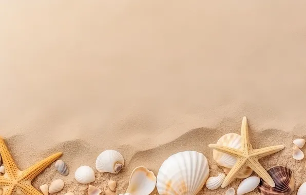 Песок, пляж, фон, ракушки, beach, texture, background, sand