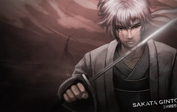 Взгляд, меч, парень, Gintama, Гинтама, Саката Гинтоки