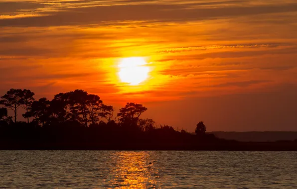 Twilight, trees, sunset, water, lake, dusk, silhouettes