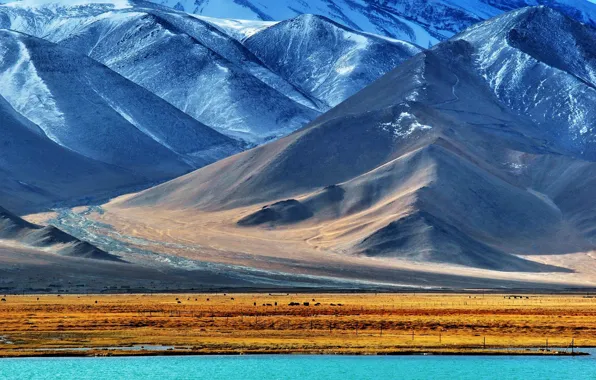 Картинка снег, горы, озеро, Памир