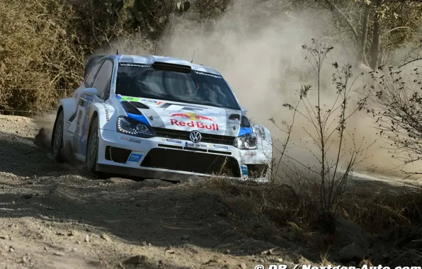 Volkswagen, Mexico, rally, wrc, polo, 2013, S.Ogier