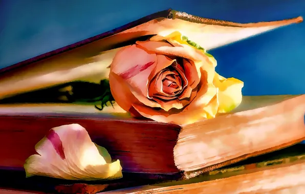 Картинка Роза, Рисунок, Книга, Арт, Art, Rose