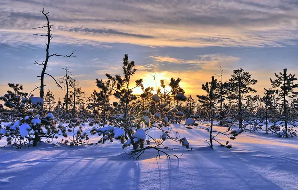 Картинка зима, снег, пейзаж, закат