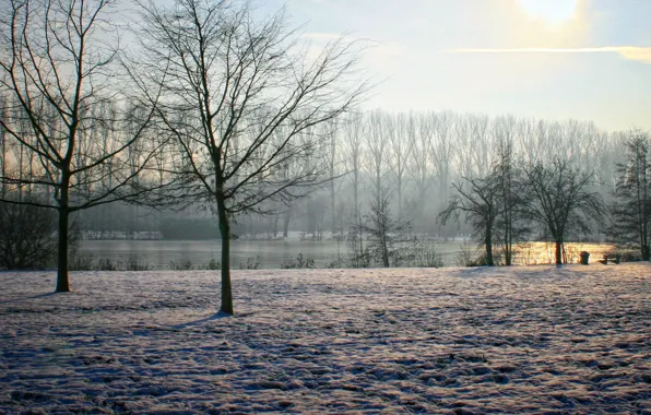 Sky, trees, winter, sun, Belgium, clearly