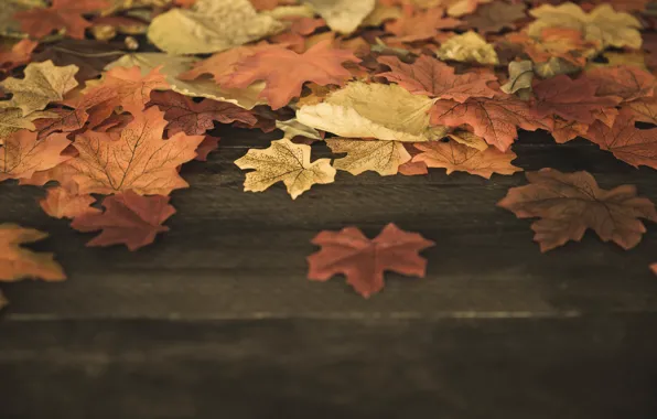 Картинка осень, листья, фон, дерево, colorful, доска, wood, background