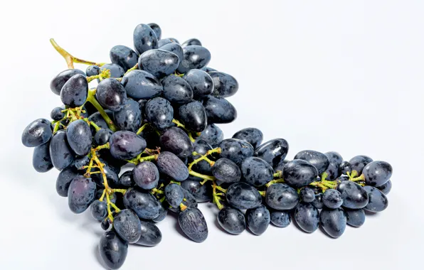 Виноград, гроздь, светлый фон