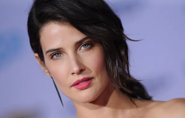 Взгляд, поза, портрет, макияж, актриса, hair, Cobie Smulders, Коби Смолдерс