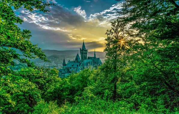 Деревья, замок, Германия, Вернигероде, Schloss Wernigerode