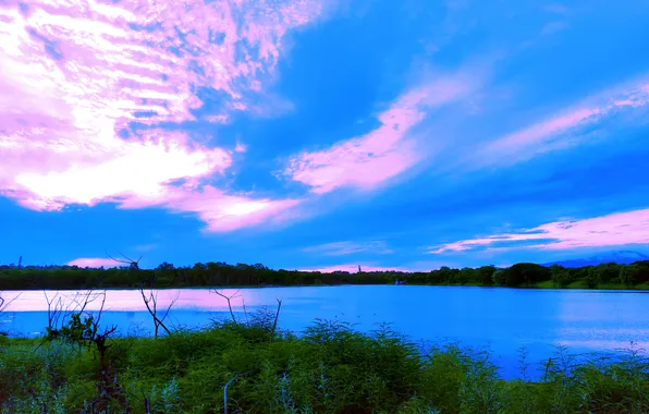 Sky, Grass, Water, Sunrise, Dawn, Morning, Lake, Trees