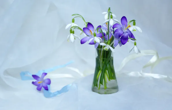 Цветы, букет, весна, подснежники, крокусы