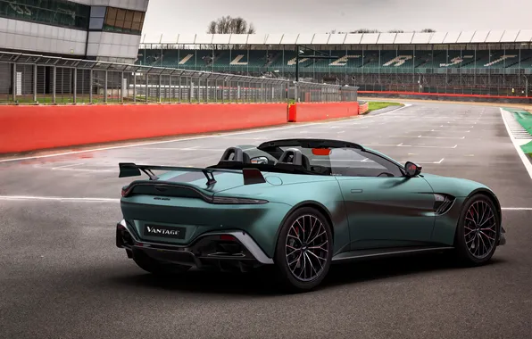 Aston Martin, Roadster, Vantage, 2021, Aston Martin Vantage F1 Edition, F1 Edition