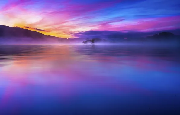 Картинка Japan, Sky, Beautiful, Wood, Blue, Tree, Water, Sunrise