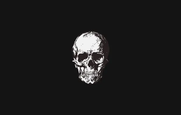 Simple, череп, минимализм, skull, черный фон, minimalism, Black background