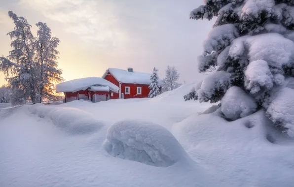 Картинка зима, снег, деревья, ель, сугробы, домик, Швеция, Сергей Алещенко