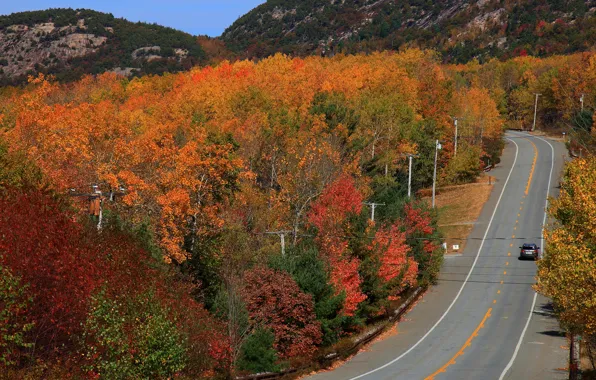 Картинка дорога, авто, осень, лес, солнце, деревья, горы, шоссе