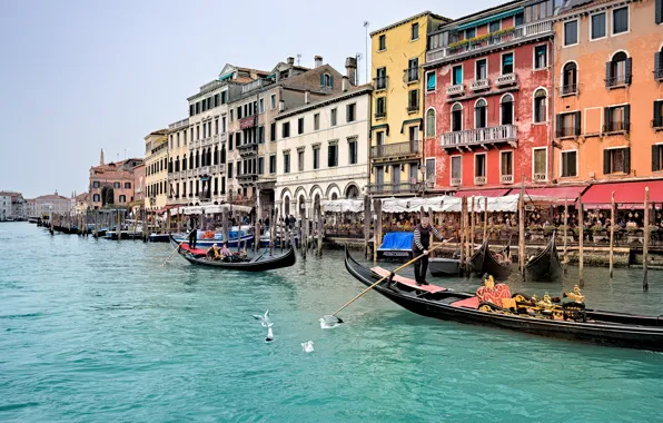 Картинка Италия, Венеция, Italy, Venice, Italia, Venezia, Gondolas, Гондолы