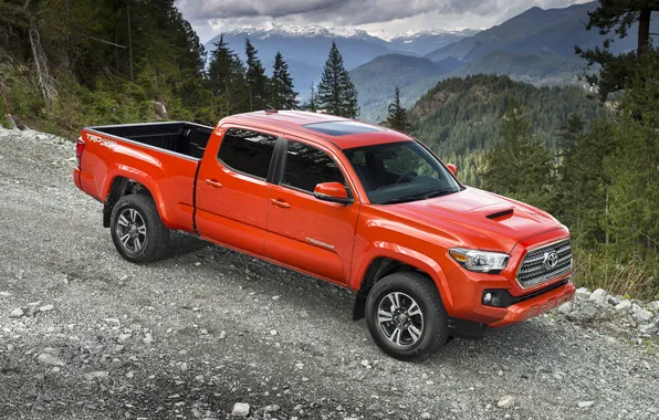 Картинка Toyota, тойота, Sport, Double Cab, TRD, Tacoma, 2015, такома