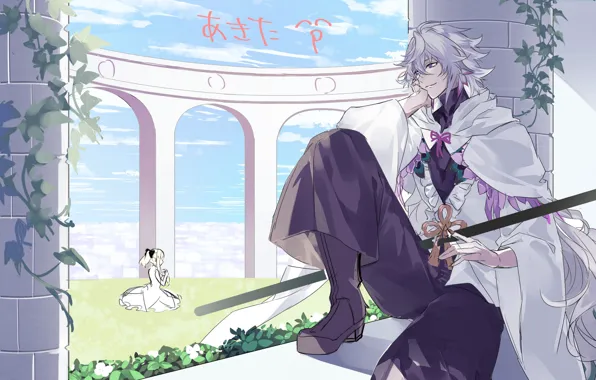 Сидит, наблюдает, Мерлин, Fate / Grand Order, Судьба великая кампания