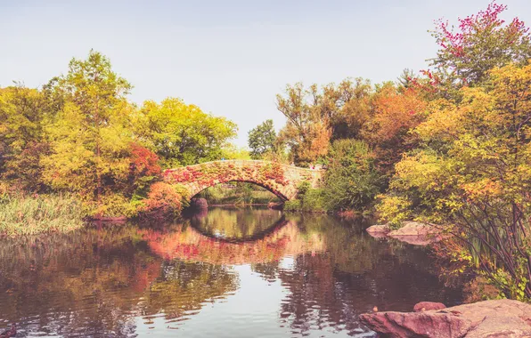 Картинка осень, листья, деревья, озеро, отражение, люди, Нью-Йорк, зеркало