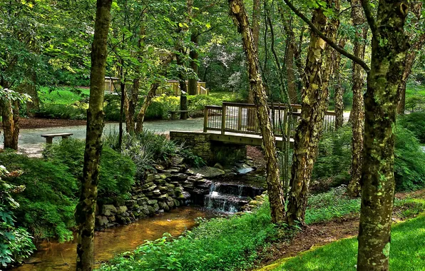Картинка природа, парк, река, фото, США, ствол дерева, Ground Gibbs Gardens