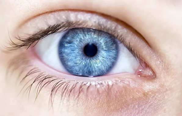 Woman, blue eye, pupil