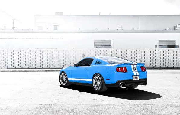 Картинка голубой, Mustang, Ford, Shelby, GT500, мустанг, мускул кар, форд