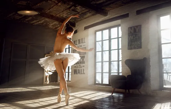 Картинка решетка, окно, балерина, просвет, Георгий Чернядьев, Екатерина Шержукова