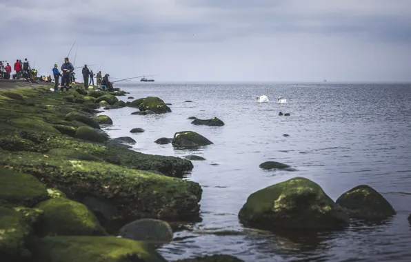 Море, отдых, рыбалка