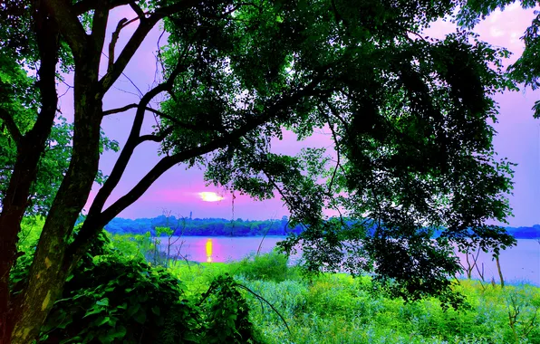 Sky, Sun, Water, Sunrise, Dawn, Morning, Lake, Trees