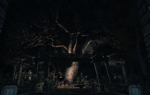 Ночь, Skyrim, The elder scrolls, Вайтран, Златоцвет