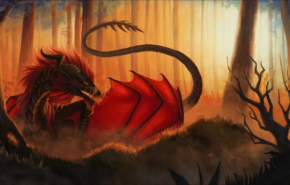 Дракон, арт, ART, fire, fantasy, dragon, красный дракон, red dragon
