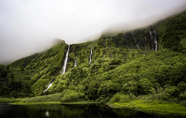 Картинка forest, landscape, nature, clouds, lake, waterfall, mist, tropics