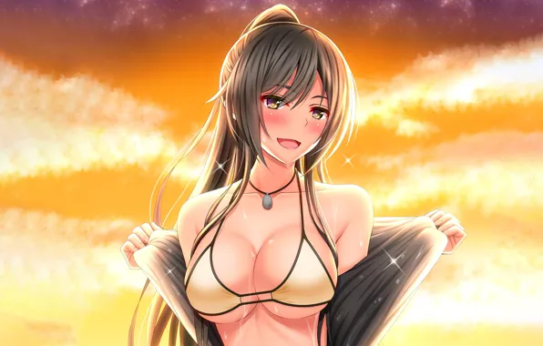 Girl, sexy, cleavage, long hair, brown hair, boobs, sunset, anime