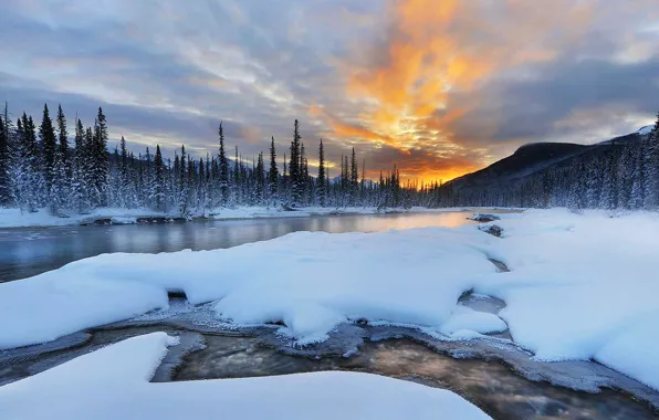 Зима, снег, деревья, горы, река, Канада, Альберта, Banff national park