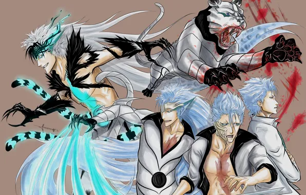 Кот, Bleach, Блич, аранкар, Гимджоу