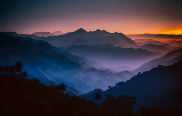 Картинка forest, landscape, sunset, mountains, fog, sillhouette