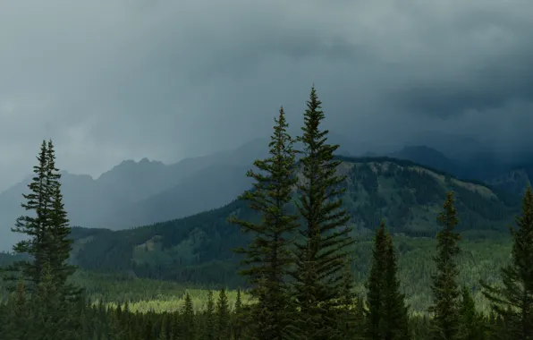 Деревья, горы, шторм, природа, storm, Nature, trees, mountains